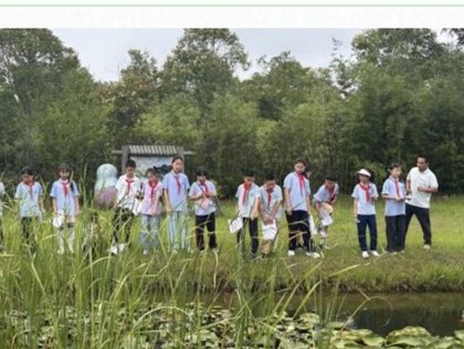 【博慧恒成•课程】赴湿地之约 探虫趣之美 ——苏科外附属镇湖小学“湿地四季·夏虫之趣”课程研学活动
